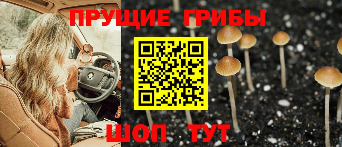 Югорск  Псилоцибиновые грибы прущие грибы  Вход с VPN 